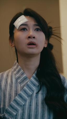 Revenge of the Commander's Heiress episode 46