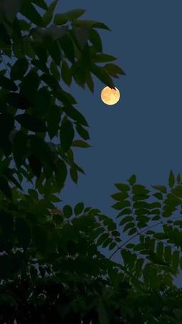 أنت نبض قلبي episode 2