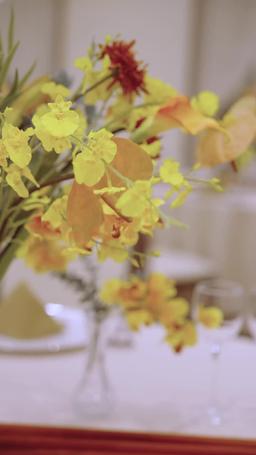 離婚後、私は輝く episode 42