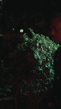 Il mio nemico Alfa episode 17