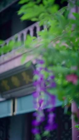 妃の出世術、皇帝を攻略せよ！ episode 42