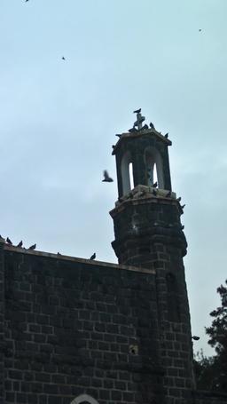 How to Kiss a Vampire episode 5