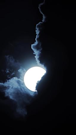 دماء وفضة: صعود رفيقة القائد المرفوضة episode 30