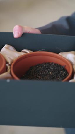 Mafya Babası: Eski Eşim Yalvarıyor episode 41