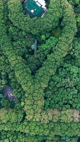 Il suo sussurro nell'oscurità episode 68