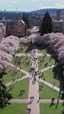 La Estríper Virgen y El Jugador Estrella de Hockey episode 11