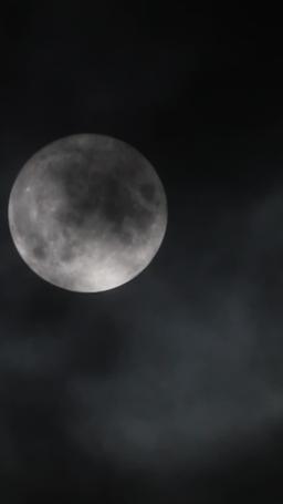 Odrodzona by kochać właściwego episode 29