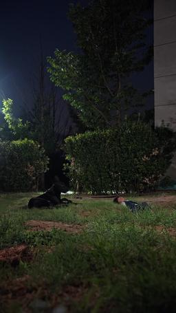 A Little Whisper episode 55