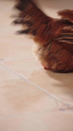 운명을 예감하는 소녀 episode 39