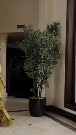 嗜血狼主的啞巴新娘 episode 30