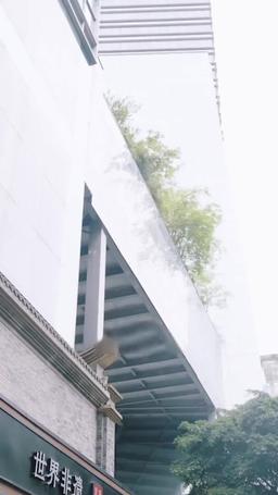 墨雨雲間之真假千金 episode 31