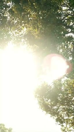 転生1990：村からのやり直し episode 36