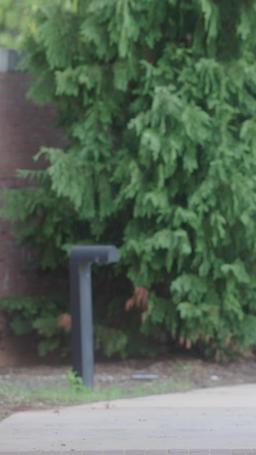 Mi Despiadado Rey de la Mafia episode 10