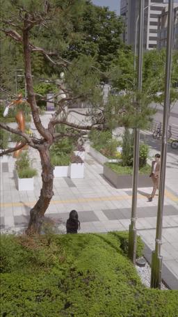 남주와 파혼하겠습니다 episode 64