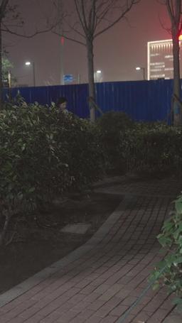 Odwrócona galaktyka, najgłębsza rana w jej sercu episode 64