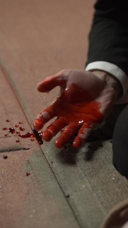 Regeln des Schutzes: Der Bodyguard, den ich hasse episode 60