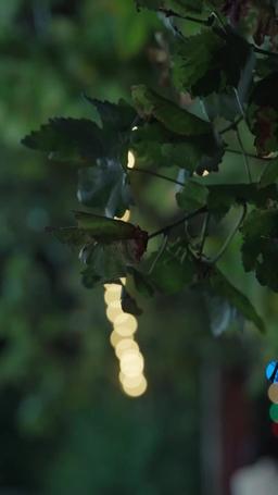 สองชีวิตในวิทยาลัยยอดฝีมือ episode 26