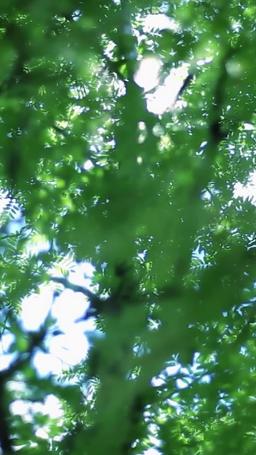 Raport Kapitanie Mu: Pani Ye lata sama episode 69