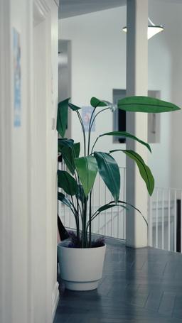 La Remplaçante du parrain episode 1