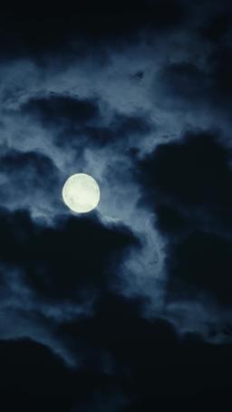 Desiderata dal vampiro e dal cacciatore episode 66