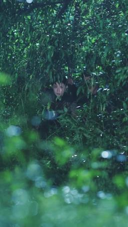 Win Their Hearts, Forge Your Fate episode 66