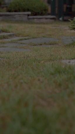 Eredità: la bella e il miliardario episode 1