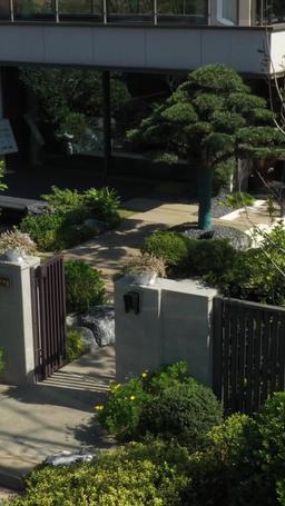 Cinta pada Tembakan Pertama episode 25