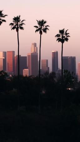 Un Contrat Délicat avec le Chef de la Mafia episode 19