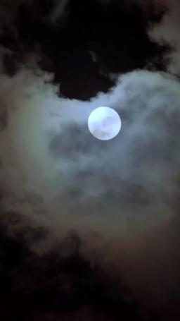 Tradito Due Volte, Vendicato Una Volta episode 16