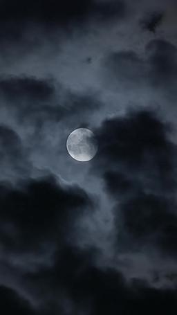 Two Alphas Are in Love with Me episode 1