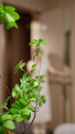 Daddy, You Passed! Time for Hugs! episode 30