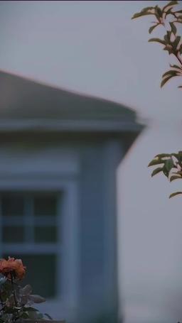 Mein CEO-Papa wirbt um Mama episode 23