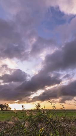 บ่วงเสน่หาหนุ่มคาวบอย episode 86