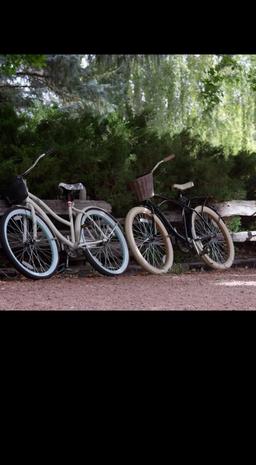 Forest Fairies episode 2