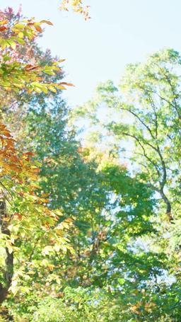 デスティニー 〜見知らぬ恋人〜 episode 12