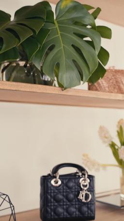 Nunca Rechaces a una Princesa Lobo episode 25