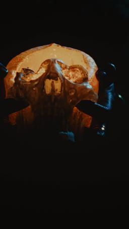 Desiderata dal vampiro e dal cacciatore episode 19