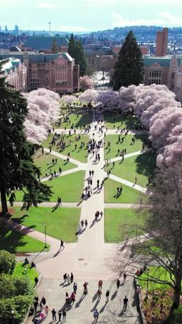 Ayah Rumah Tangga Jadi Triliuner episode 1