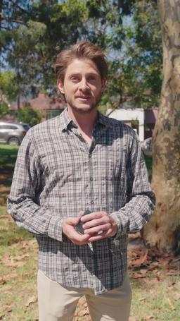 การกลับมาของทายาทผู้สูงส่ง trailer