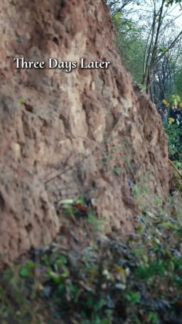 My Landlord is Actually the Strongest! episode 8