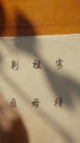 重生嫡女只想虐渣 episode 29