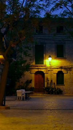 La esposa divorciada es una cirujana genial episode 51