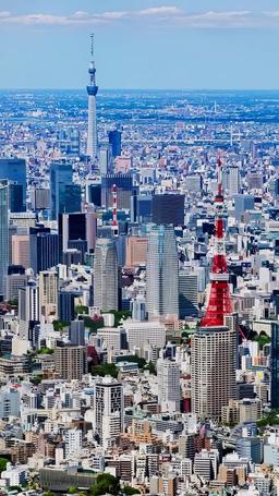 世界を支配しているのは、俺の父親だ episode 1