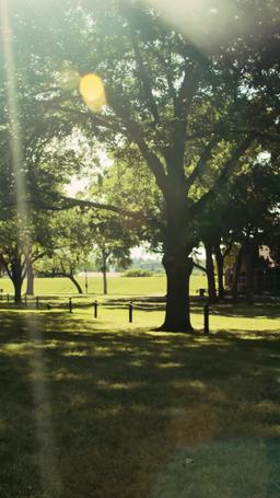 [Doppiaggio] Un miliardario senzatetto per Natale episode 31