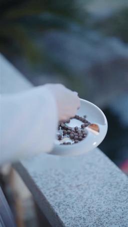 Połączyłam siły z moją rywalką miłosną episode 94