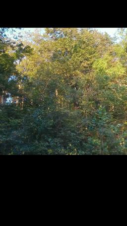 Dagger Kiss: Enchanted Forest episode 22