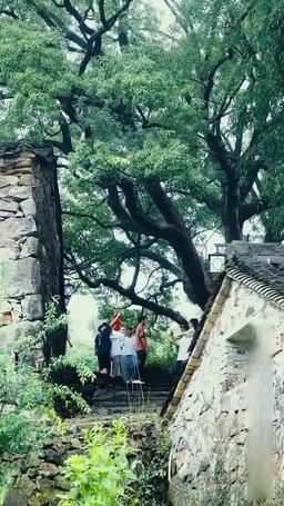 廃寺からの生還 episode 95