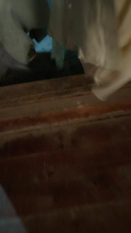 重生嫡女只想虐渣 episode 26