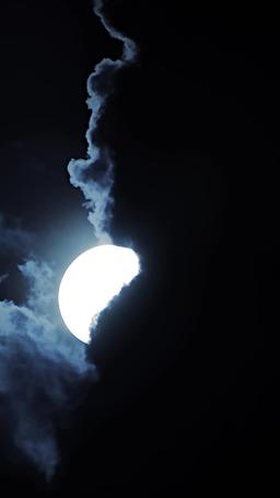 Sangue e Argento: L’Ascesa di Aurora episode 47