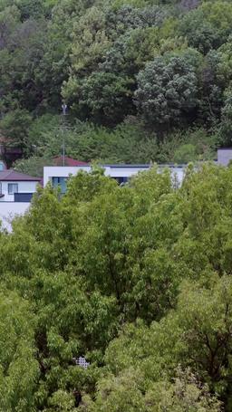 In This Life, I'm Trying To Save The Boss episode 27